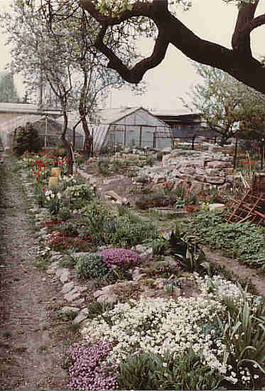 Untitled Document [www.alpinissimum.de]